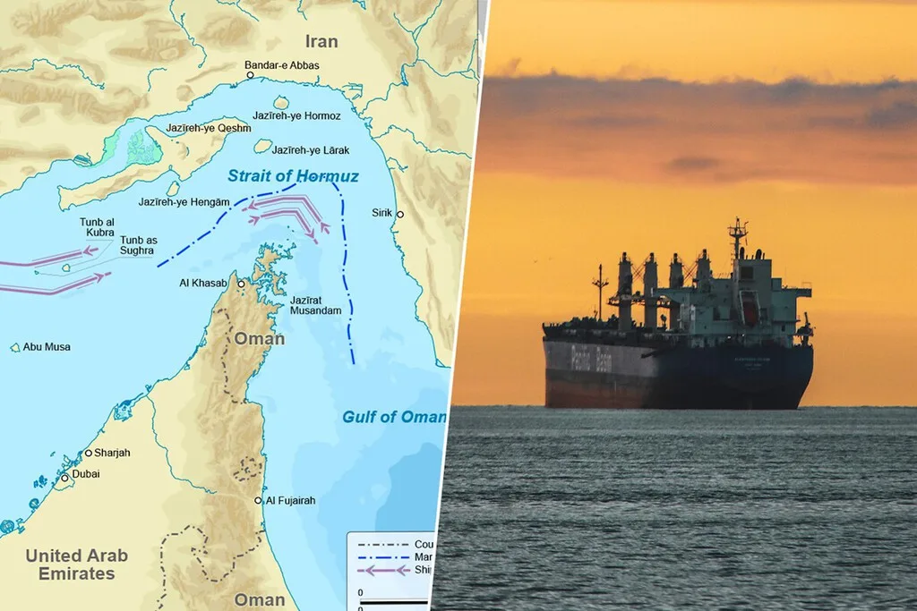 Barcos mercantes varados en el estrecho de Ormuz cubiertos de bioincrustaciones marinas