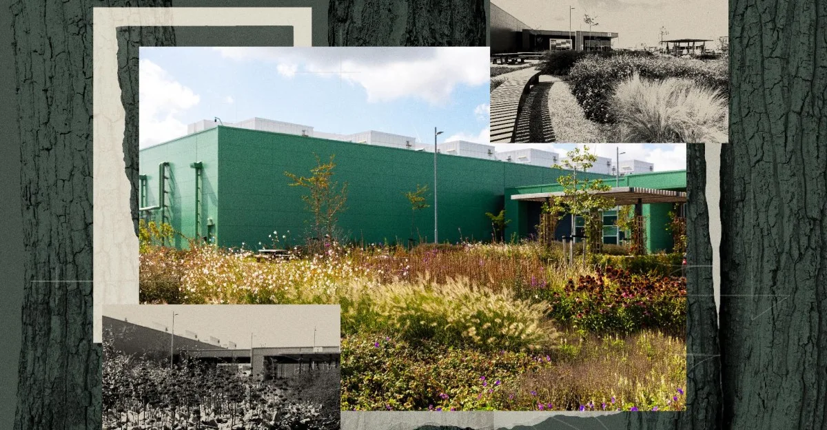 Data centers camuflados en bosques: ¿la solución para que nadie los odie?