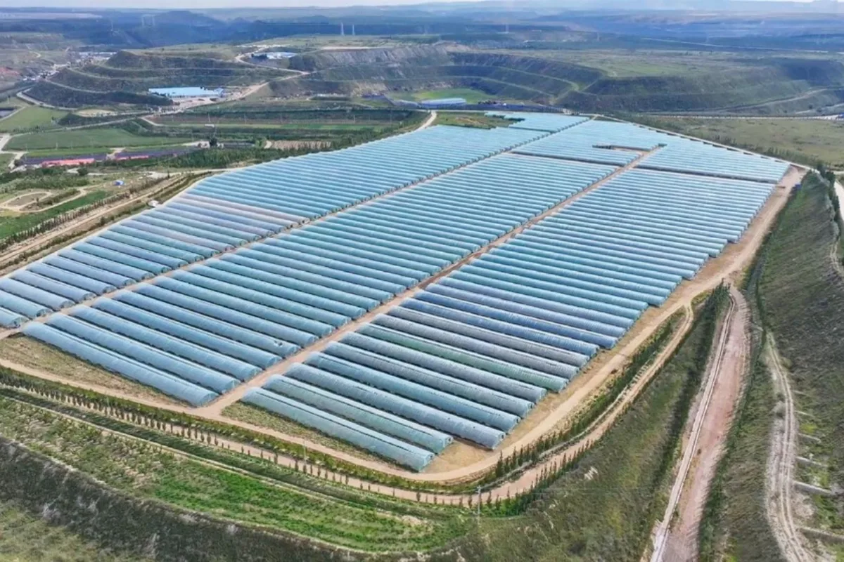 China transforma minas de carbón en invernaderos y cultivos: ¿una solución real?