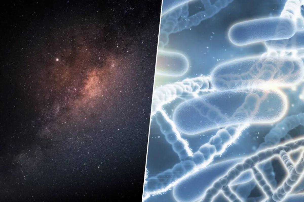 El hallazgo de vida extraterrestre sería un evento geopolítico, advierte experta