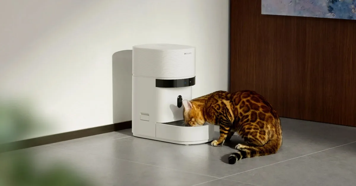 Petlibro caído: por qué tu mascota se está quedando sin comida