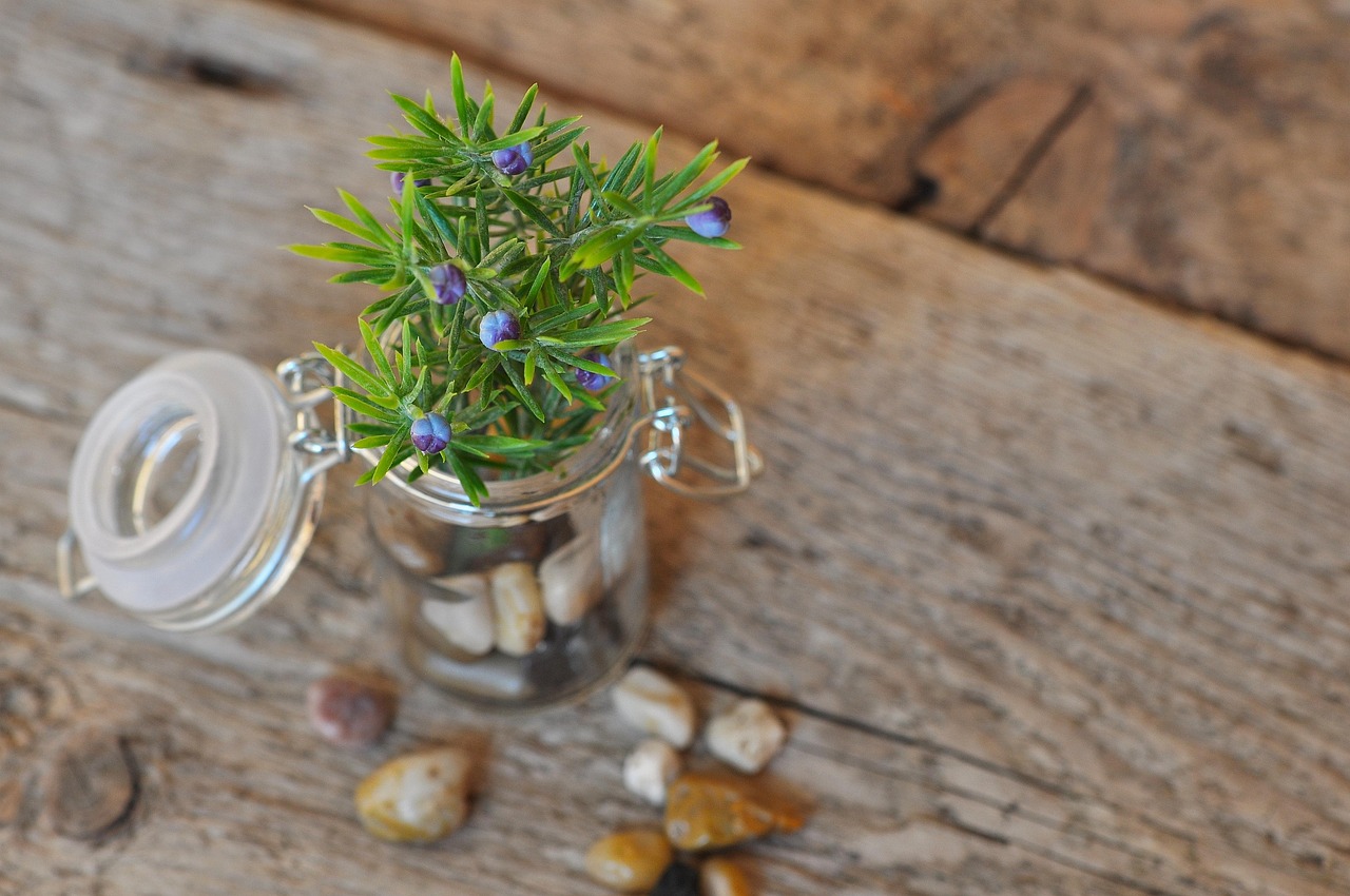 deco, decoration, decorative, decorative branch, artificial flower, still life, decoration, artificial flower, still life, still life, still life, still life, still life