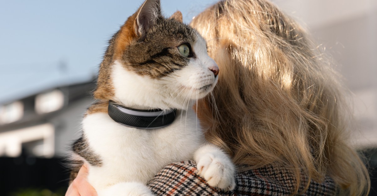 Tractive lanza Cat 6 Mini y Dog 6 XL con monitoreo de salud y suscripción