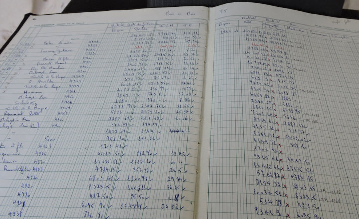 Anuncio cuenco Pico El libro diario en la contabilidad - El Insignia